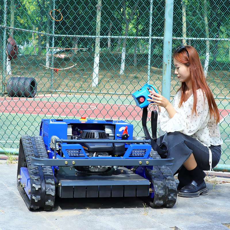 Customized High Power Remote C - Power Tools Garden ulasan dan harga