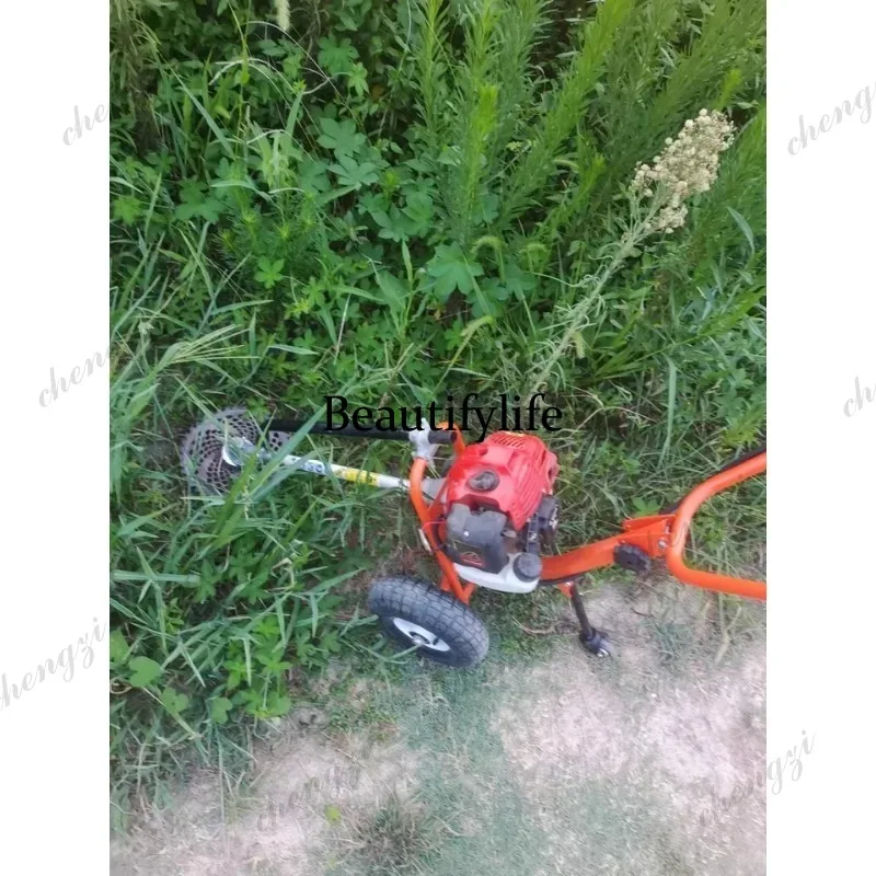 L178 Lawn mower hand push lawn - Power Tools Garden ulasan dan harga